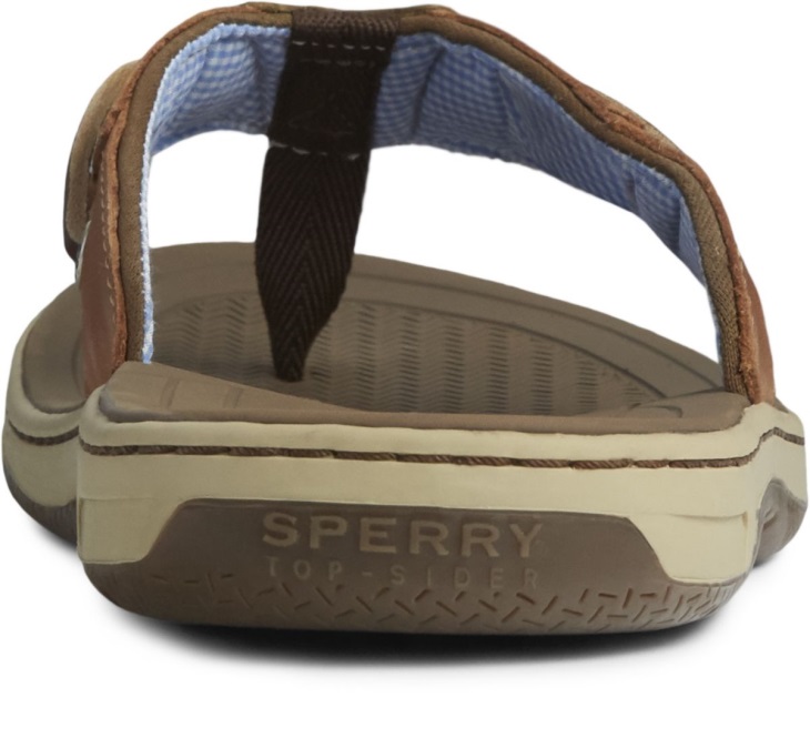 Baitfish Flip-Flops Tan Leather Sperry