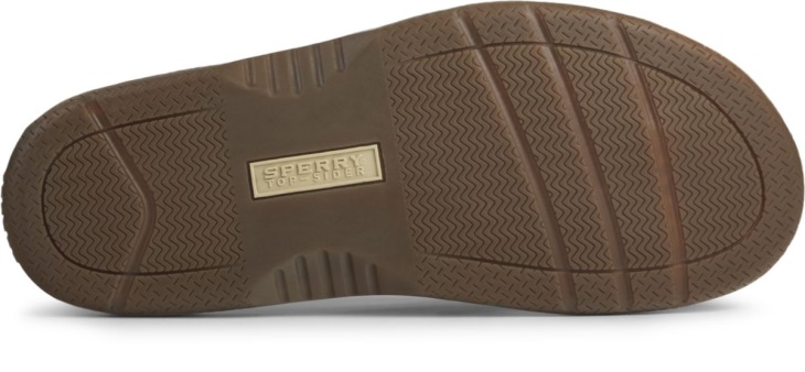 Baitfish Flip-Flops Tan Leather Sperry