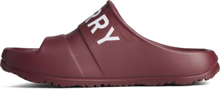 Float Slide Logo Sandal Cordovan Sperry