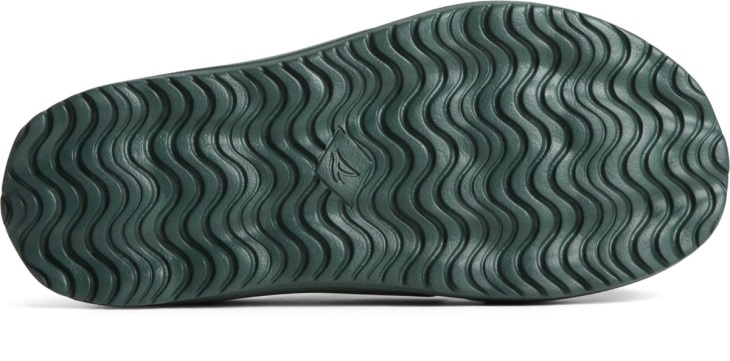 Float Slide Logo Sandal Sperry Green