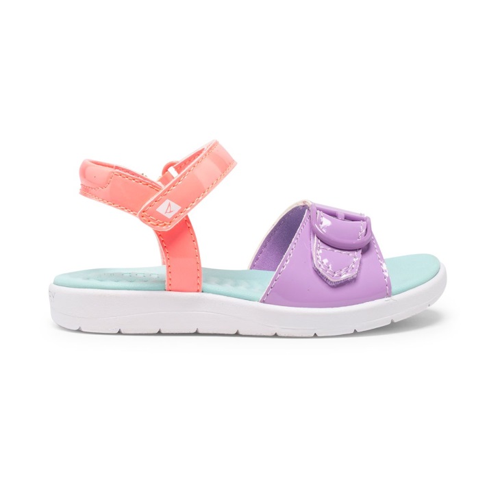 Galley PLUSHWAVE Sandal Sperry Multi