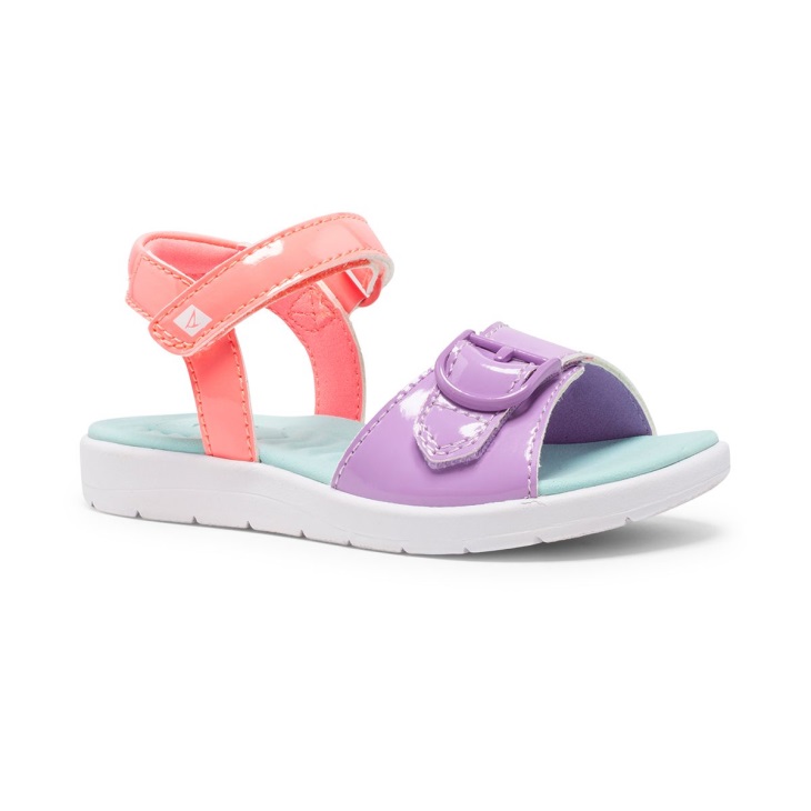 Galley PLUSHWAVE Sandal Sperry Multi