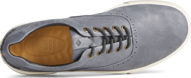 Gold Cup Striper PLUSHWAVE CVO Brogue Sneaker Black Sperry