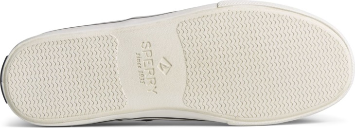 Striper II CVO Sneaker Sperry Grey