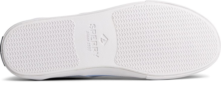 Striper II Ombre CVO Sneaker Sperry Blue