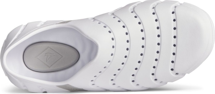 Water Strider Sperry